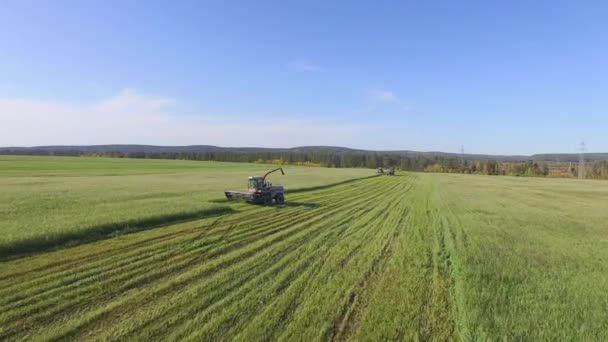 4K. Aerial photography. Cleaning of fields by combines — Stock Video