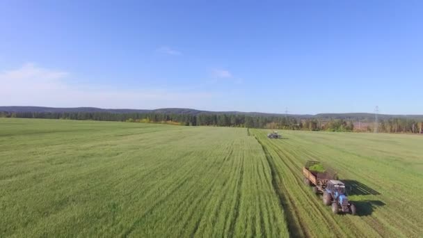 4K. Aerial photography. Cleaning of fields by combines — Stock Video