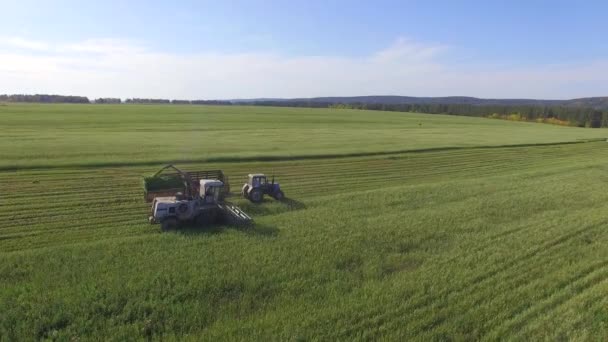 4K. Fotografía aérea. Limpieza de campos mediante cosechadoras — Vídeo de stock
