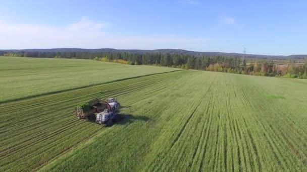 4K. Aerial photography. Cleaning of fields by combines — Stock Video
