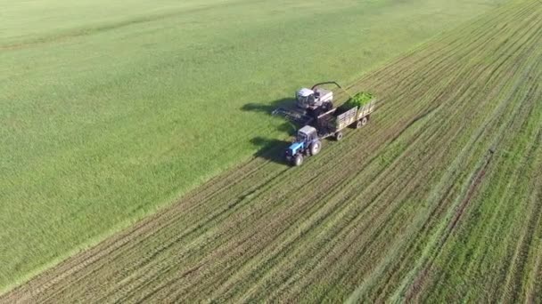 4K. Aerial photography. Cleaning of fields by combines — Stock Video