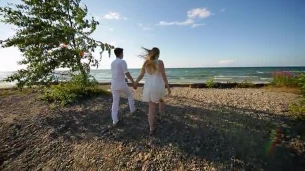Um casal amoroso na praia — Vídeo de Stock