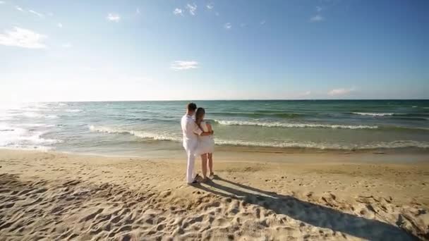A loving couple on the beach — Stock Video