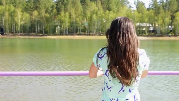 Létě Dívka Chůze Molu Zátoce Řeky — Stock video