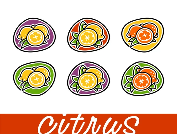 Serie a colori di segni di agrumi — Vettoriale Stock