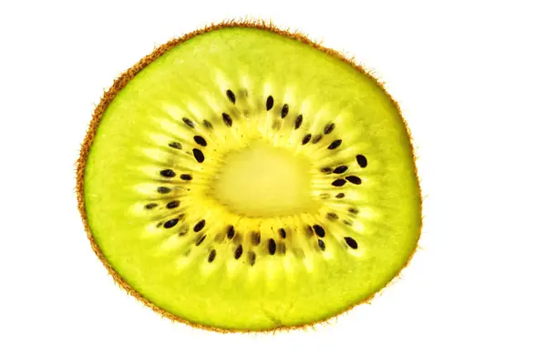 Kiwi-Scheibe auf Weiß — Stockfoto