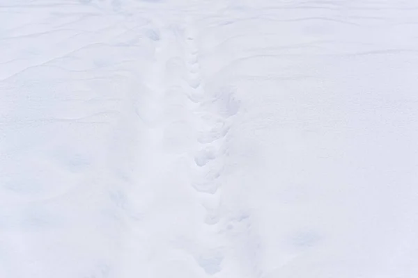 Winter Abstract Snow Background Close — Stock Photo, Image