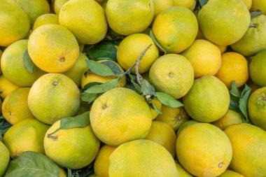 Markette meyve sulu greyfurtlar var. Kapatın.