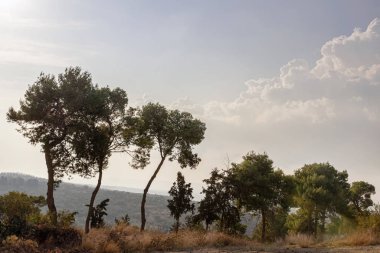 bulutlu havalarda dağ manzarası