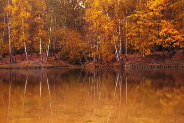 Paisagem Outono Dourado Lago Floresta — Fotografia de Stock