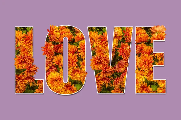 Λέξη Αγάπη Που Αποτελείται Από Πορτοκαλί Χρυσάνθεμα Παστέλ Μωβ Φόντο — Φωτογραφία Αρχείου