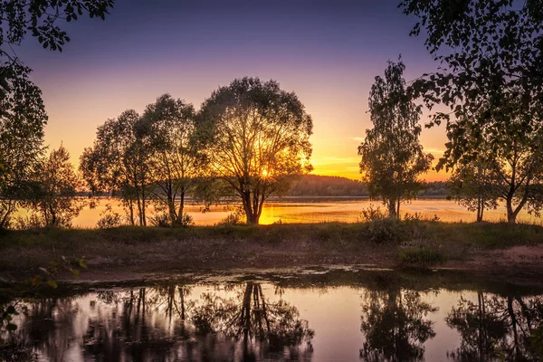 森林湖上美丽的夕阳西下 — 图库照片