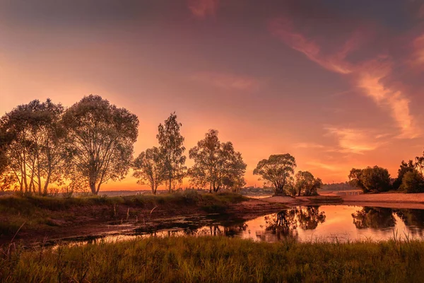 Belo Pôr Sol Lago Floresta Hora Ouro — Fotografia de Stock