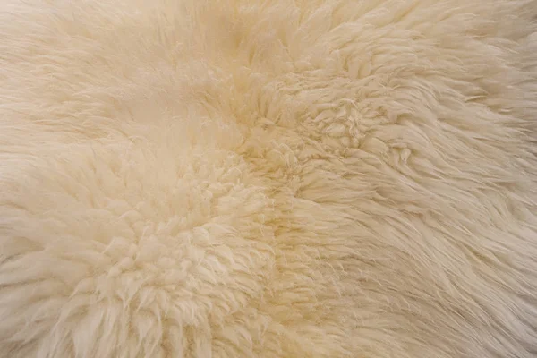 abstract background of warm white fur close up