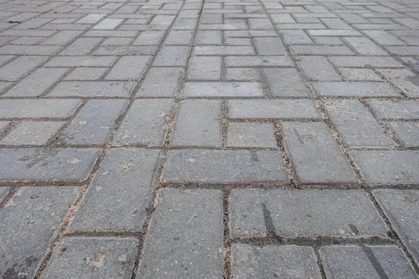 Abstract Background Wet Tiles Sidewalk Rain Close — Stock Photo, Image