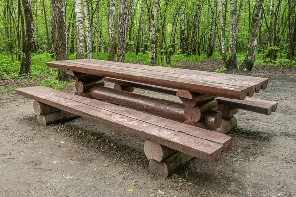 Tavolo Picnic Legno Nel Parco Forestale — Foto Stock