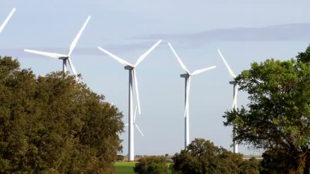 Aerogeneradores Trabajo Campo Del Generador Eólico — Vídeos de Stock