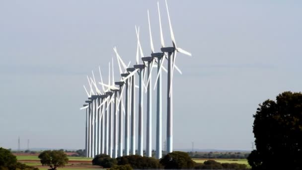 Aerogeneradores Trabajo Campo Del Generador Eólico — Vídeo de stock