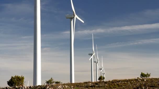 Aerogeneradores Trabajo Campo Del Generador Eólico — Vídeo de stock