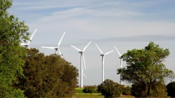 Aerogeneradores Trabajo Campo Del Generador Eólico — Vídeo de stock