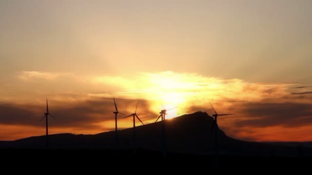 Amanecer Campo Con Campo Generadores Eólicos — Vídeos de Stock