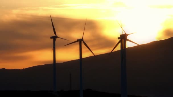 Amanecer Campo Con Campo Generadores Eólicos — Vídeos de Stock