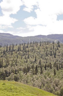 Güzel Hemsedal, Buskerud, Norveç 'teki dağlarla ve vadilerle manzara.