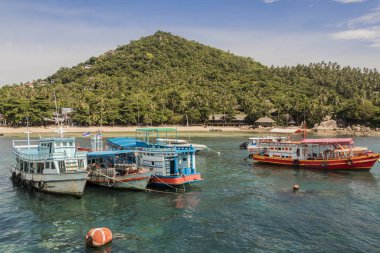 Koh Tao Adası Tayland. Tekneler ve gemilerle Songserm İskelesi.