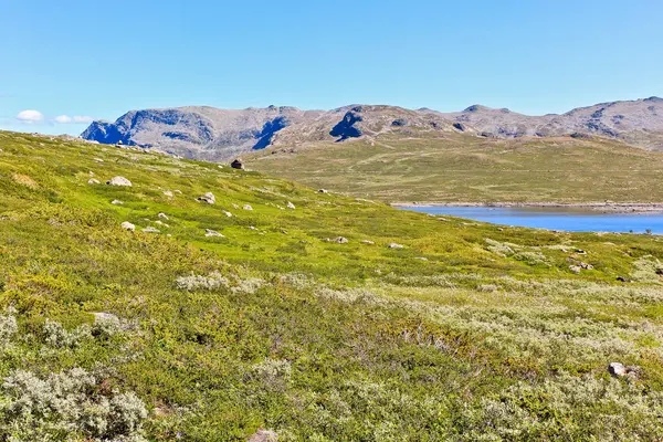 Jezioro Vavatn i góry w lecie w Hemsedal, Buskerud, Norwegia. — Zdjęcie stockowe