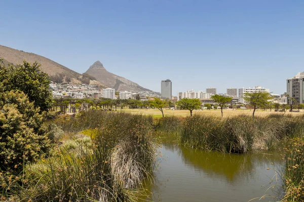 Green Point Park with lake river Ciudad del Cabo, Sudáfrica . — Foto de Stock