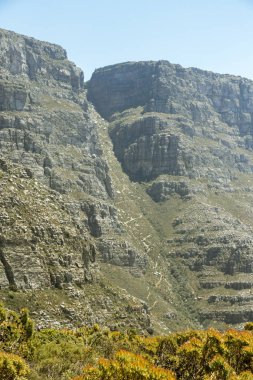 Güney Afrika 'daki Masa Dağı Ulusal Park Cape Town' dan görüntü.