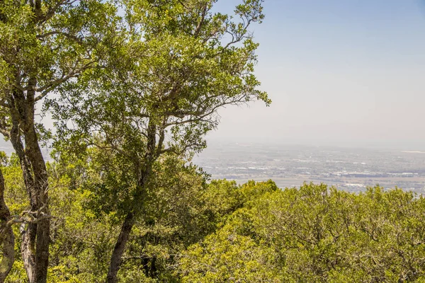 Vista desde el Parque Nacional Table Mountain Ciudad del Cabo hasta Claremont . — Foto de Stock