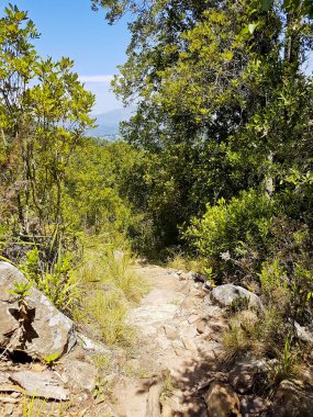 Orman, mavi gökyüzü ve dağlar Masadağı Ulusal Parkı 'nda.