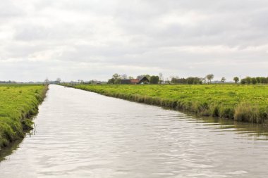 Kuzey Almanya 'da bir nehir ve yeşil çayır manzarası. Sehestedt Yeşim Wesermarsch Aşağı Saksonya, Almanya.