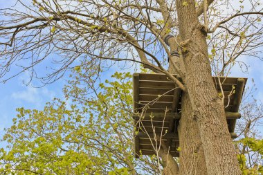 Sehestedt, Jade, Wesermarsch, Lower Saxony, Almanya 'da ağaç tepelerinde kaidesi ve seviyesiyle parka tırmanıyor..