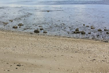 Almanya 'nın Aşağı Saksonya bölgesindeki Butjardingen' de su, bulut, hendek ve deniz kabukları.