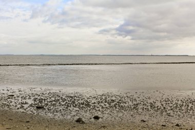 Almanya 'nın Aşağı Saksonya bölgesindeki Butjardingen' de su, bulut, hendek ve deniz kabukları.