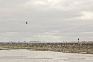 Su, bulut, hendek ve kuşlar Almanya 'nın Aşağı Saksonya eyaletinde yer alan Butjardingen' in kuzey kıyısında.