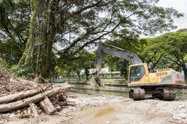 Kuala Lumpur, Malezya 'da bir kazıcı doğayı, palmiyeleri, ağaçları ve ormanları yok ediyor.