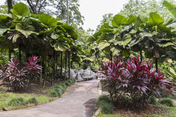 Parque Perfecto Limpio Jardín Botánico Perdana Kuala Lumpur Malasia — Foto de Stock