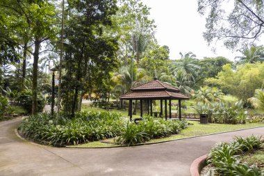 Kuala Lumpur, Malezya 'daki Perdana Botanik Bahçeleri' nde mükemmel ve temiz bir vaha..