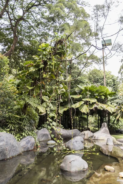 Perfect and clean Oasis Garden in Perdana Botanical Gardens in Kuala Lumpur, Malaysia.