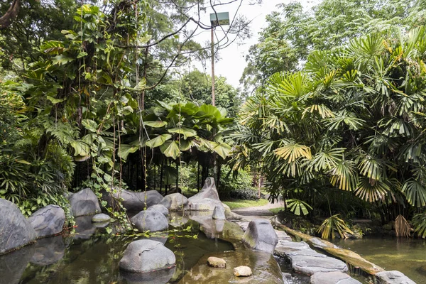 Perfect and clean Oasis Garden in Perdana Botanical Gardens in Kuala Lumpur, Malaysia.