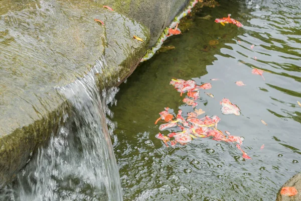 Detalhes Bela Cachoeira Nos Jardins Botânicos Perdana Kuala Lumpur Malásia — Fotografia de Stock