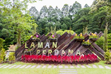 Laman Perdana güzel pembe mor çiçekler ve Kuala Lumpur, Malezya 'daki Perdana Botanik Bahçeleri.