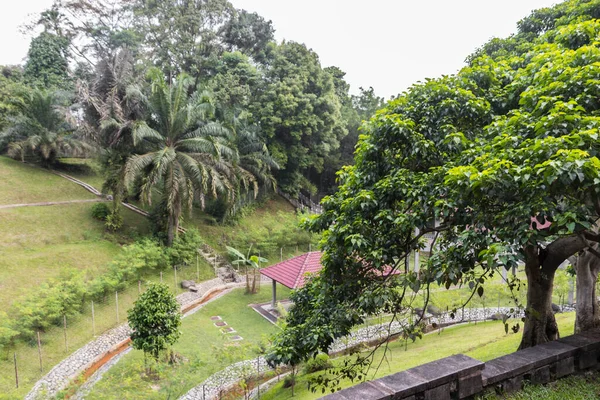 Vista Desde Arriba Parque Ciervos Taman Rusa Los Jardines Botánicos —  Fotos de Stock