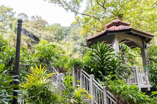 Taman Rusa Jardín Botánico Perdana Lake Gardens Kuala Lumpur Malasia — Foto de Stock