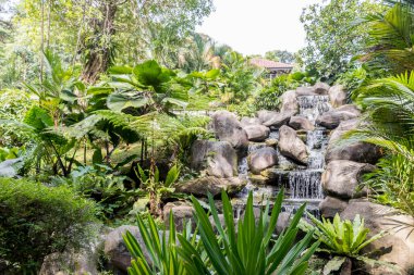 Malezya Gölü Bahçelerinde güzel tropikal şelaleler.