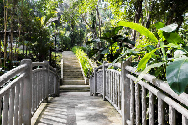 Tropical walking path across small gray bridge, Lake Gardens, Malaysia.