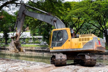 Malezya 'nın tropikal doğasında bir kazıcı.